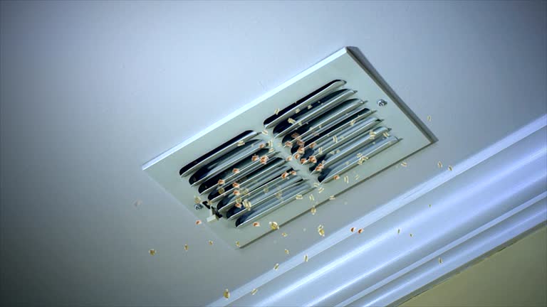 Best Home Air Vent Cleaning  in Ketchum, ID