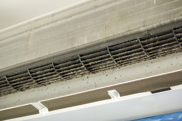 Best Air Duct Sanitizing Services  in Ketchum, ID